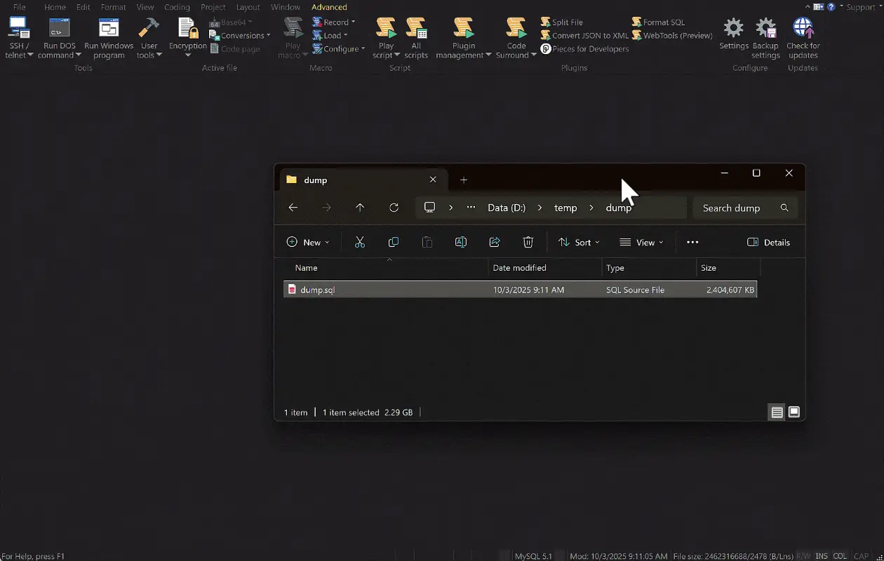 UltraEdit 編輯超大文件